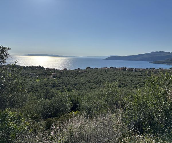 Image No.16-Plot for sale