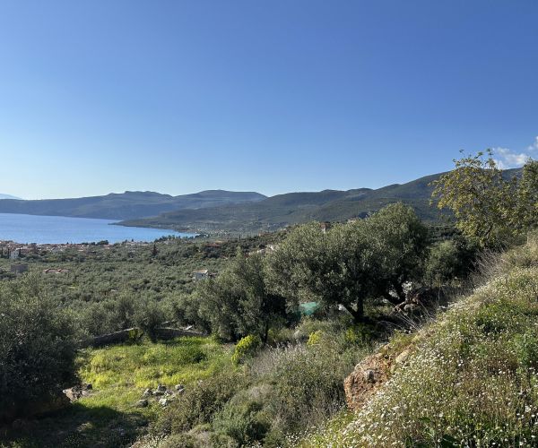 Image No.19-Plot for sale