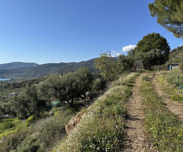 Image No.22-Plot for sale