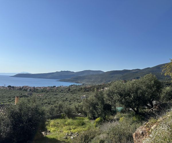 Image No.23-Plot for sale