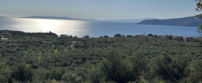 Image No.3-Plot for sale