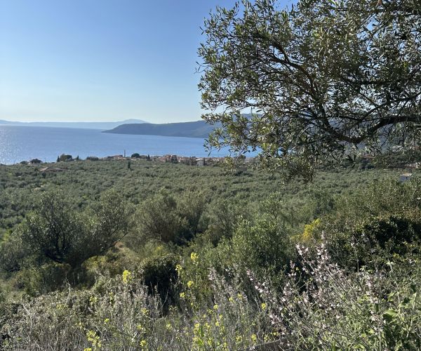 Image No.4-Plot for sale