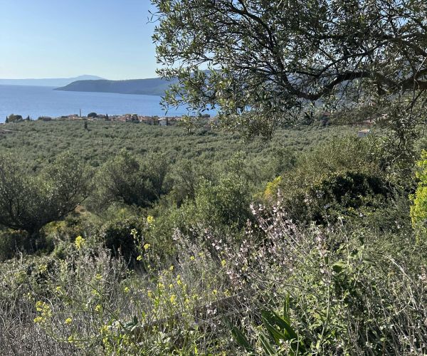 Image No.5-Plot for sale