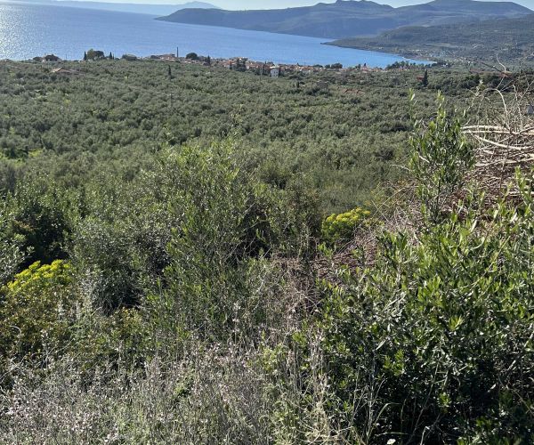 Image No.7-Plot for sale