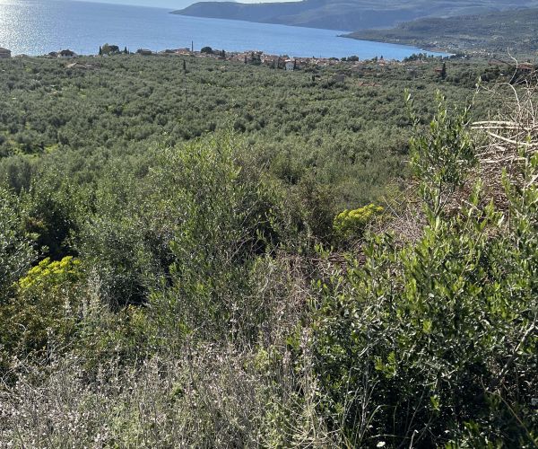 Image No.9-Plot for sale