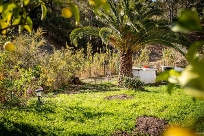 Image No.28-3 Bed Finca for sale