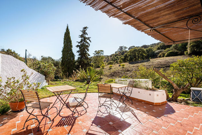 Image No.4-3 Bed Finca for sale