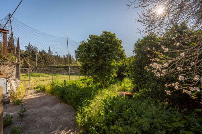 Image No.39-5 Bed Finca for sale