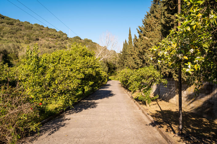 Image No.45-5 Bed Finca for sale