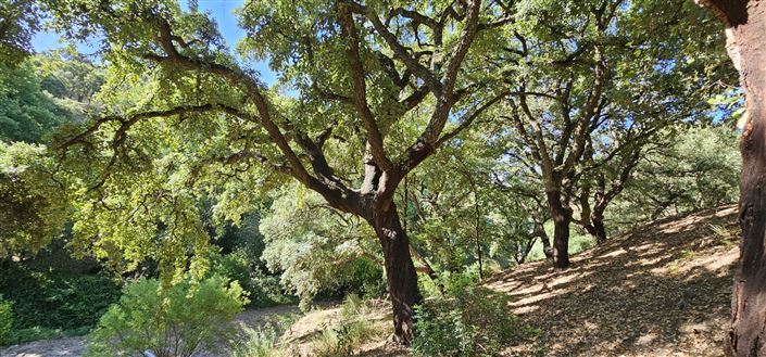 Image No.11-Plot for sale