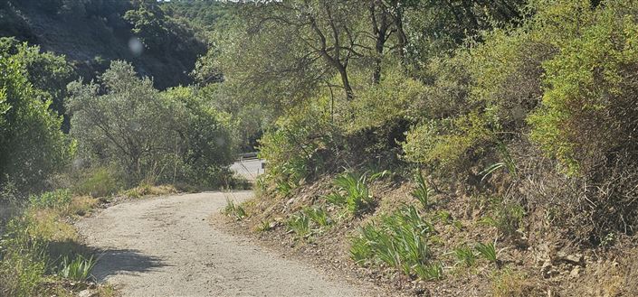 Image No.19-Plot for sale