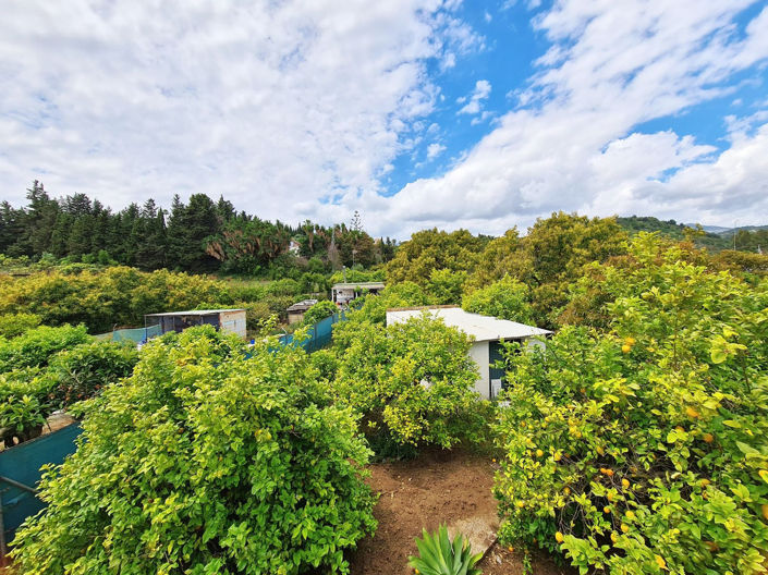 Image No.2-2 Bed House for sale