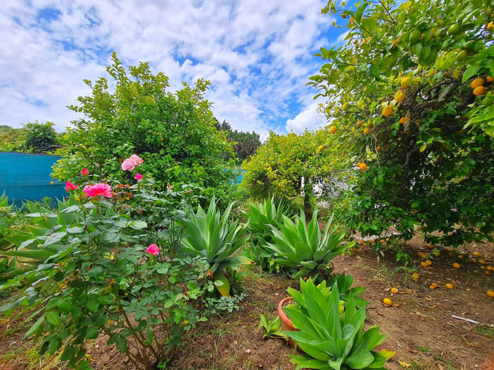 Image No.28-2 Bed House for sale