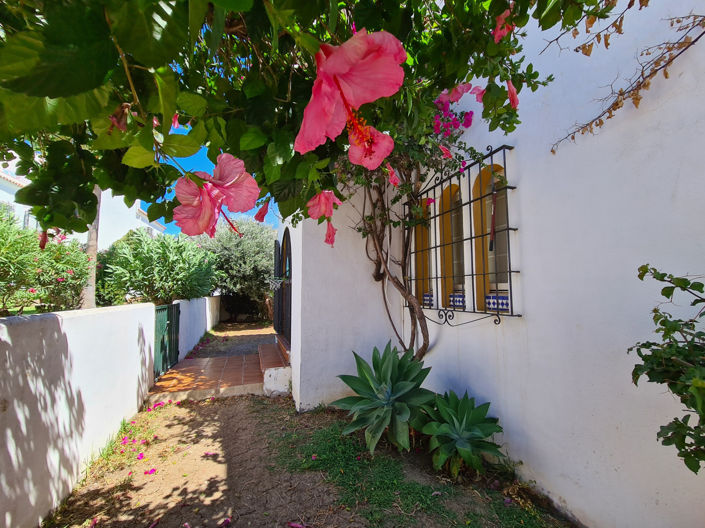 Image No.13-3 Bed House for sale