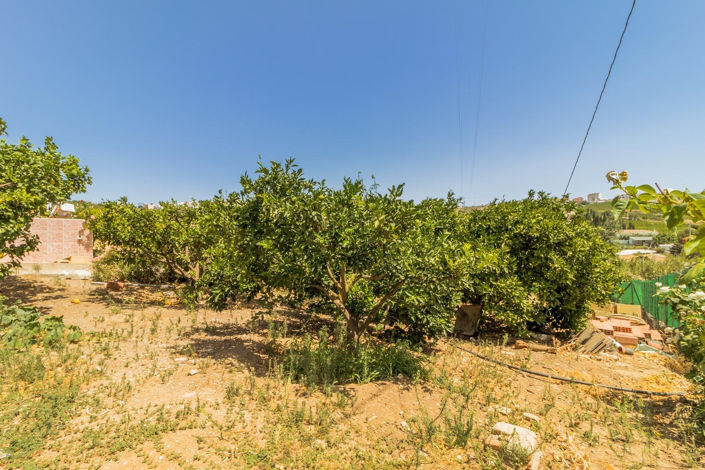 Image No.18-3 Bed Finca for sale