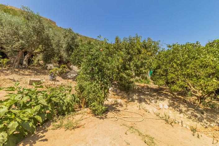 Image No.3-3 Bed Finca for sale