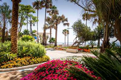 3 Bed Apartment for sale