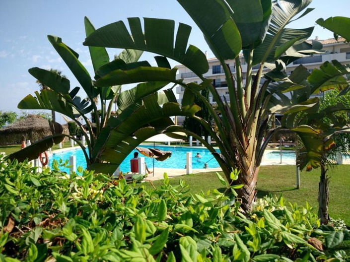 Image No.34-3 Bed Apartment for sale