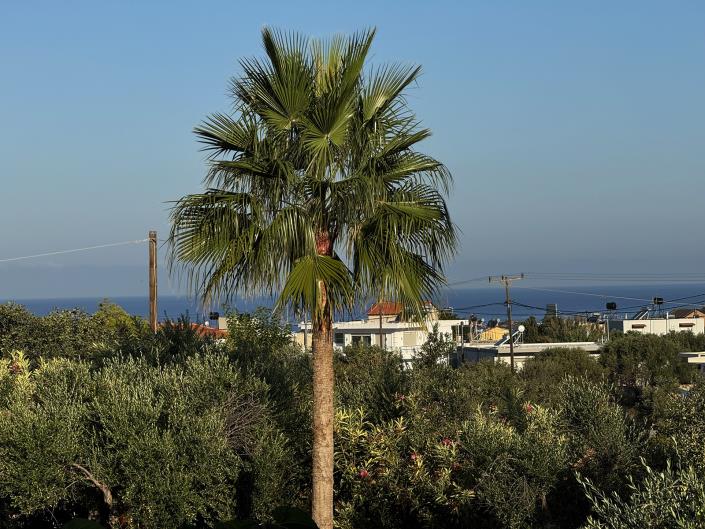 Image No.23-3 Bed Villa for sale