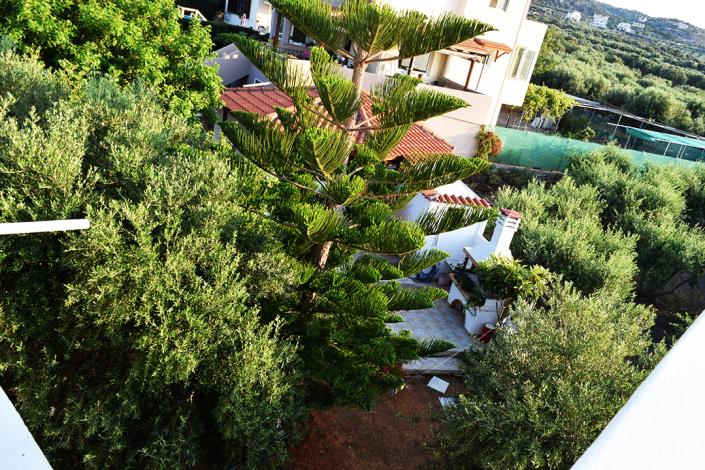 Image No.25-7 Bed Property for sale