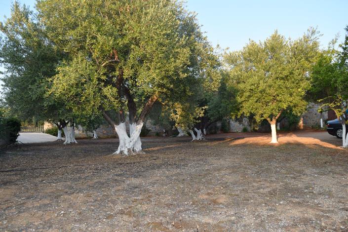 Image No.37-7 Bed Property for sale