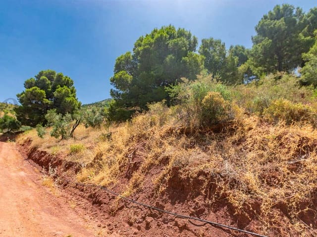 Image No.1-Land for sale