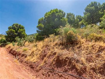 1 - Ardales, Land