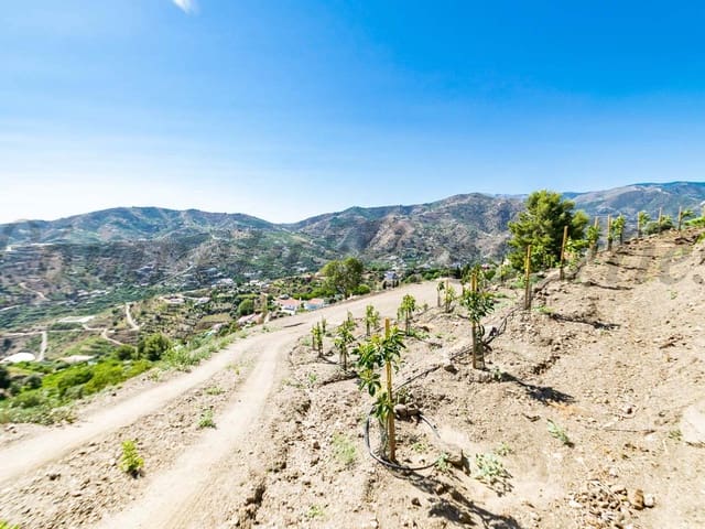 Image No.4-Land for sale