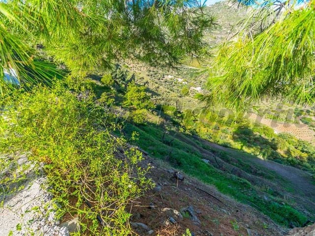 Image No.2-Finca for sale