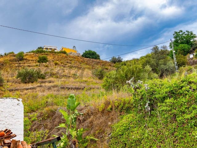 Image No.5-1 Bed Finca for sale