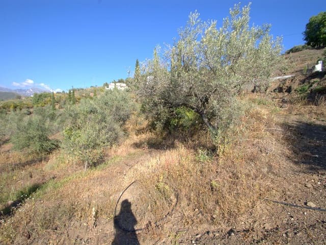 Image No.1-Land for sale