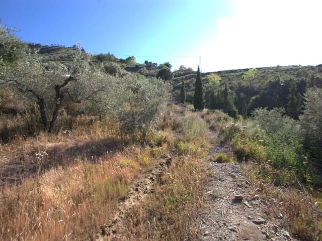 Image No.2-Land for sale