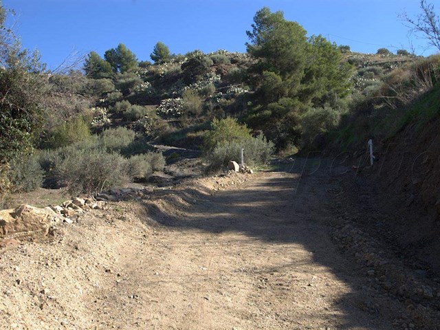 Image No.3-1 Bed Finca for sale