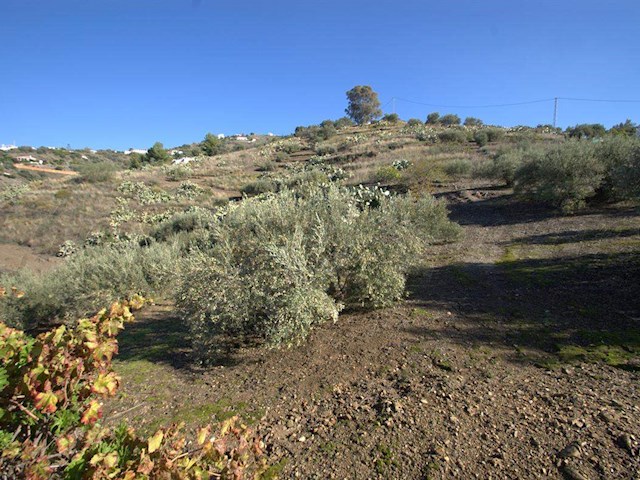 Image No.5-1 Bed Finca for sale