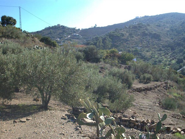 Image No.6-1 Bed Finca for sale