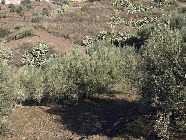 Image No.9-1 Bed Finca for sale