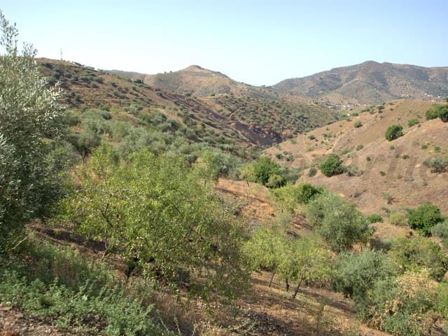 Image No.6-Finca for sale