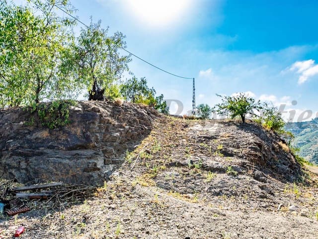 Image No.16-2 Bed Finca for sale