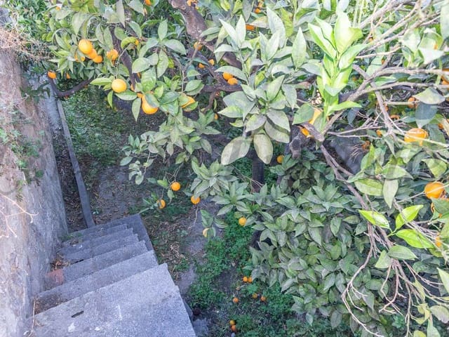 Image No.15-3 Bed Townhouse for sale