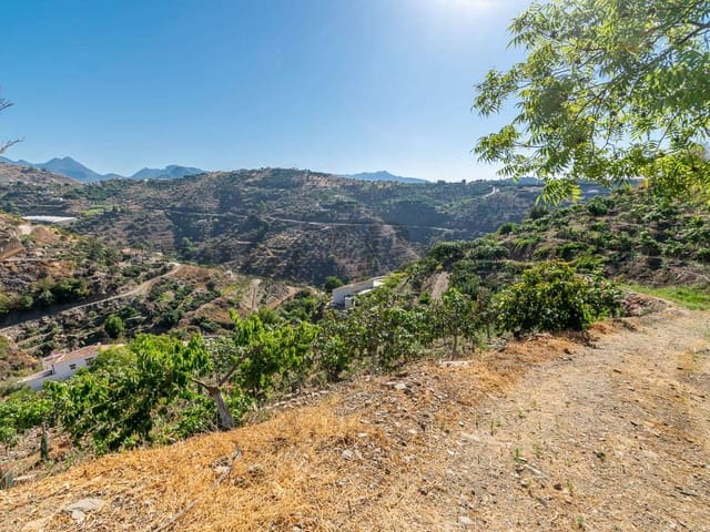 Image No.11-2 Bed Finca for sale