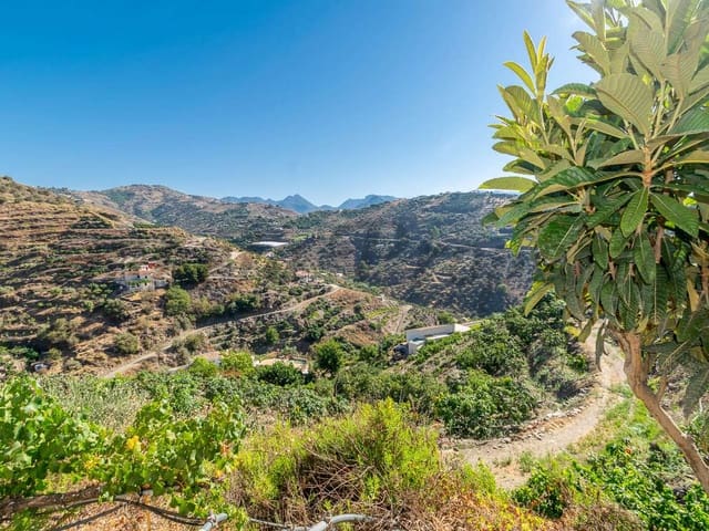 Image No.12-2 Bed Finca for sale