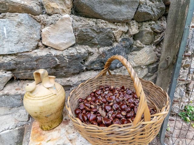 Image No.8-1 Bed Finca for sale