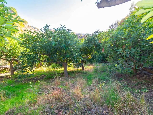 Image No.2-Land for sale