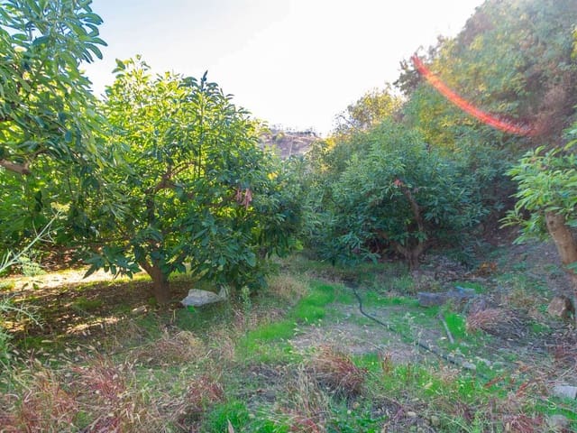 Image No.3-Land for sale