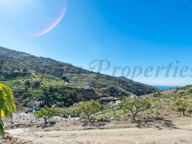 Image No.11-3 Bed Finca for sale