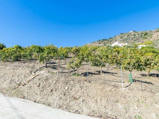 Image No.2-3 Bed Finca for sale