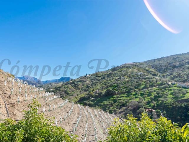 Image No.9-3 Bed Finca for sale