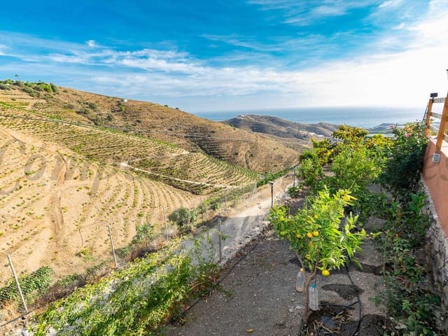 Image No.19-2 Bed Finca for sale