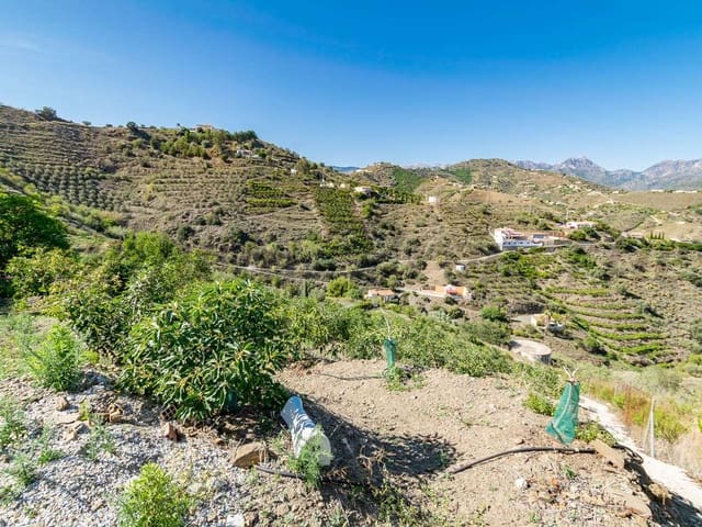 Image No.1-Finca for sale