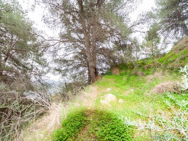 Image No.11-Land for sale